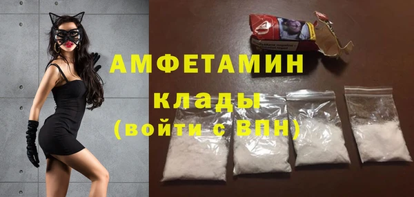 мет Алексин