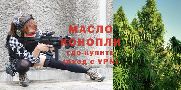 мет Алексин
