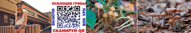 Галлюциногенные грибы GOLDEN TEACHER  Сарапул 